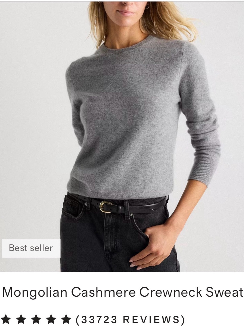 Quince NWOT Mongolian Cashmere Crewneck Sweater - oatmeal